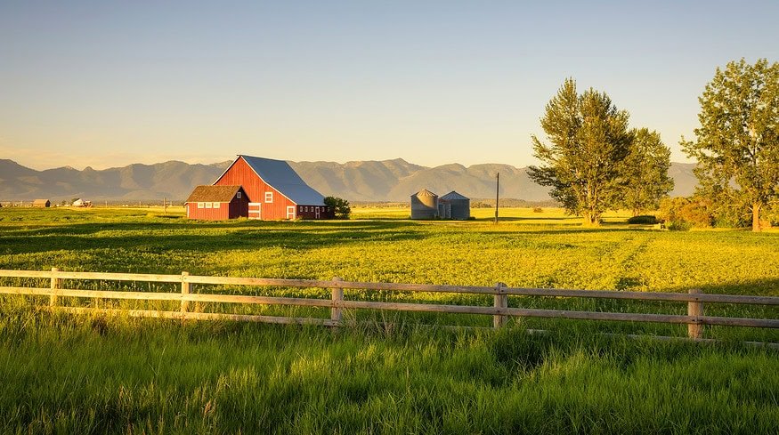 CoBank’s 2024 outlook: economic trends shaping rural America