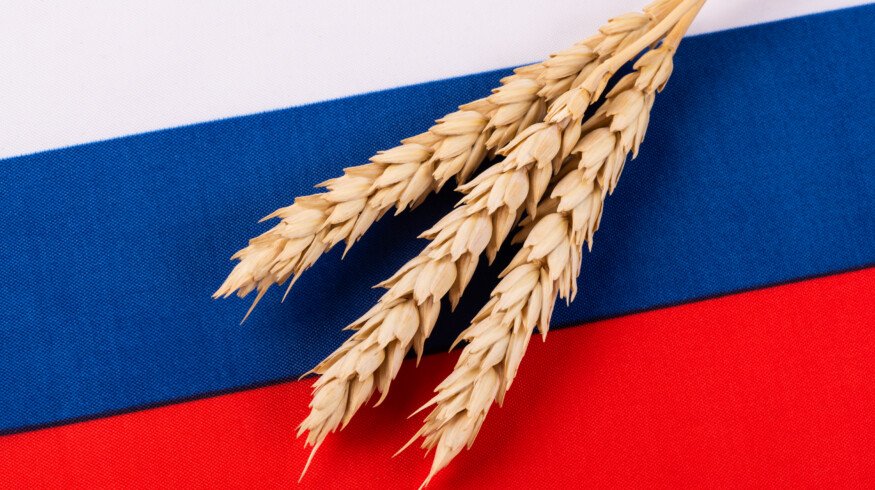 Somalia receives free grain shipment from Russia