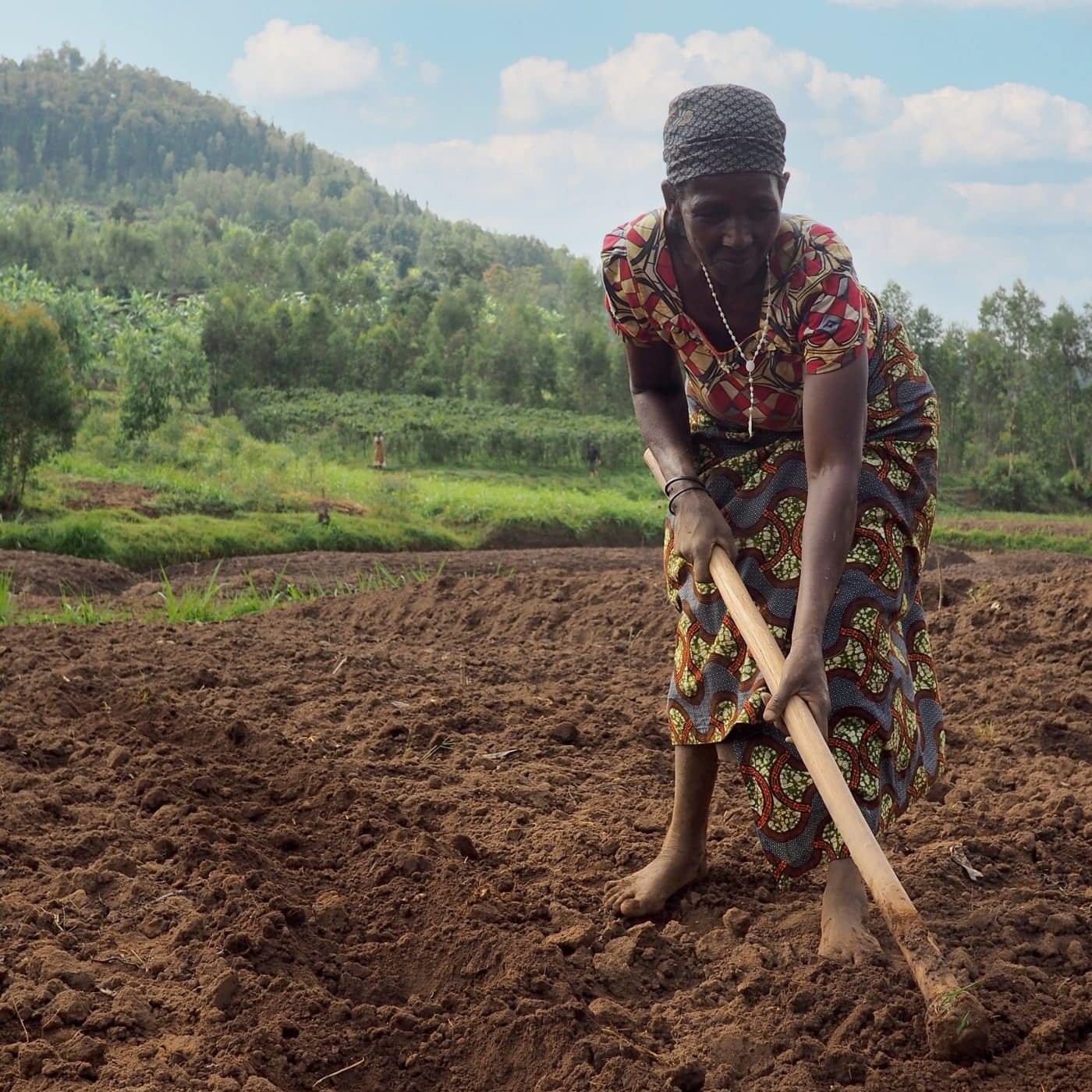 Rwanda’s fertilizer use has more than doubled in past seven years – PM