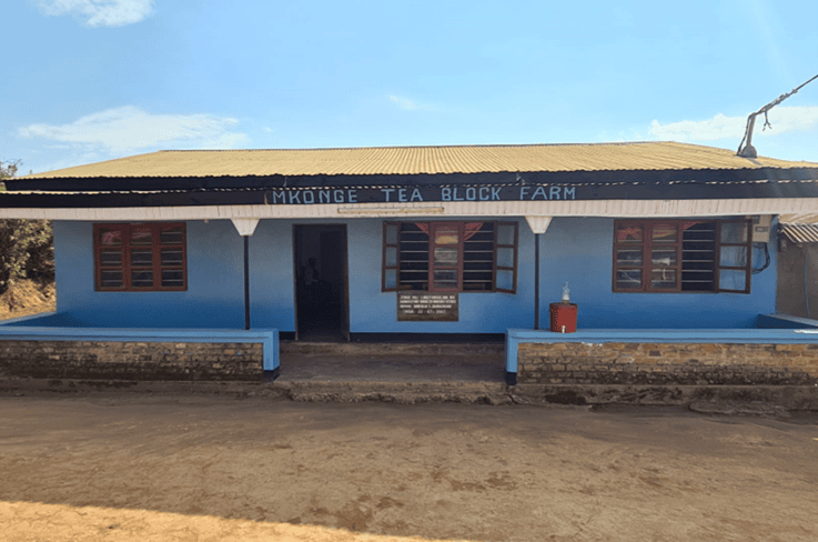 Agriterra’s collaboration with Tanzanian tea farmers yields notable success