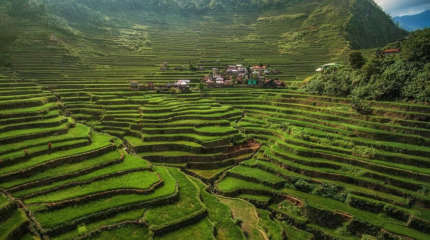 Philippine farmers to receive $177.53mn in fuel and fertilizer assistance