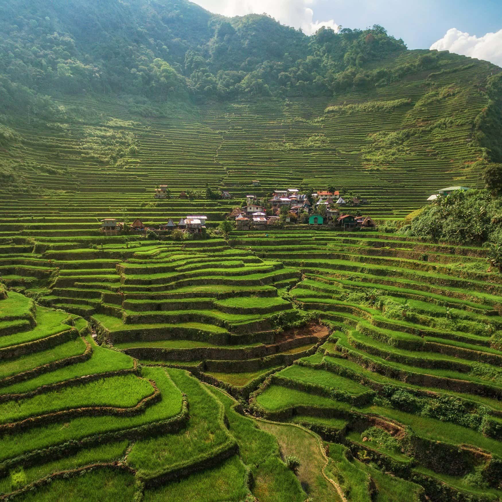 Philippine farmers to receive $177.53mn in fuel and fertilizer assistance