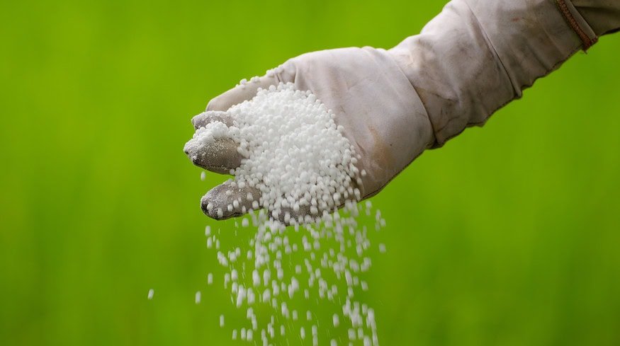 Cinis Fertilizer seeking to establish itself in Asia