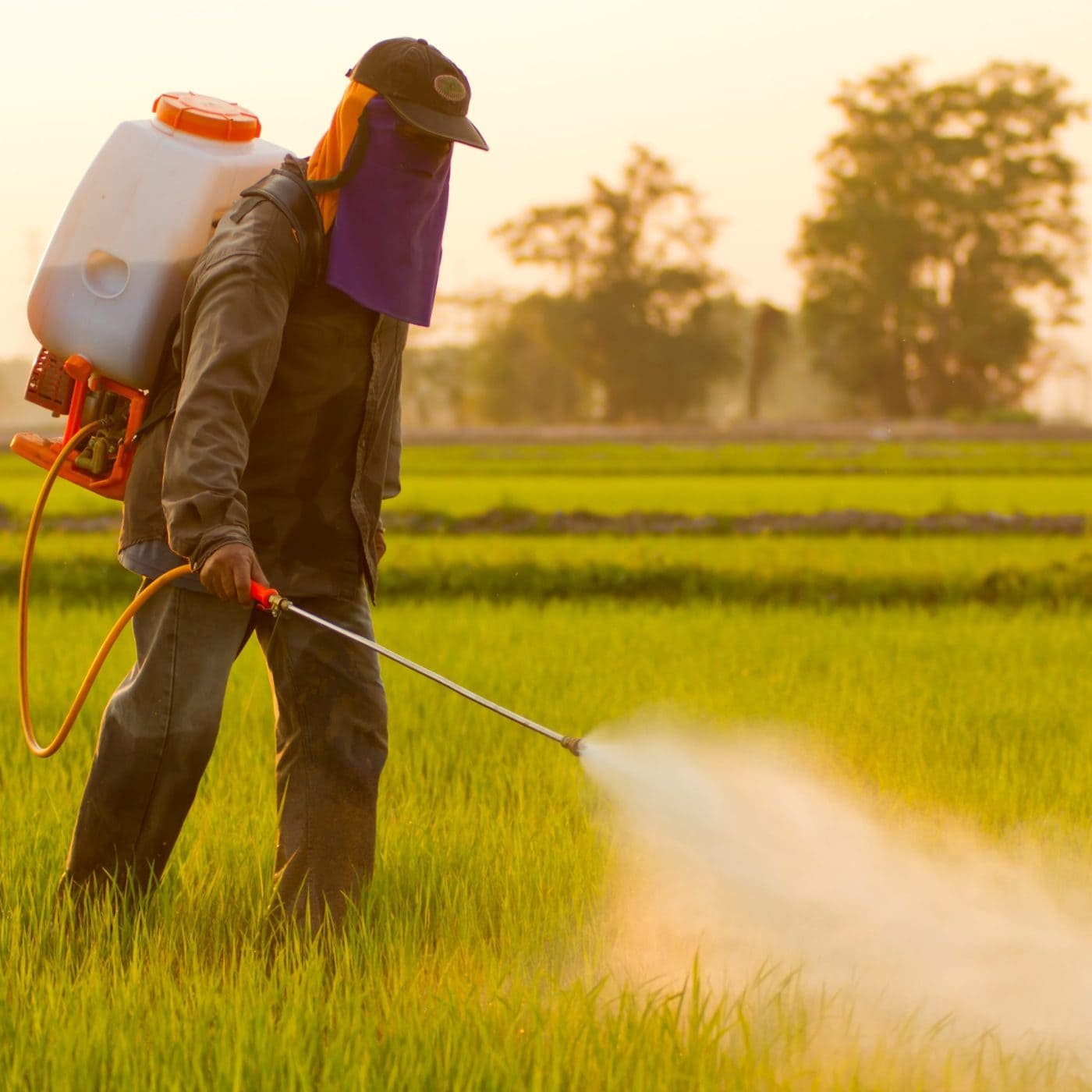 Dutch scientists call for better pesticide screening