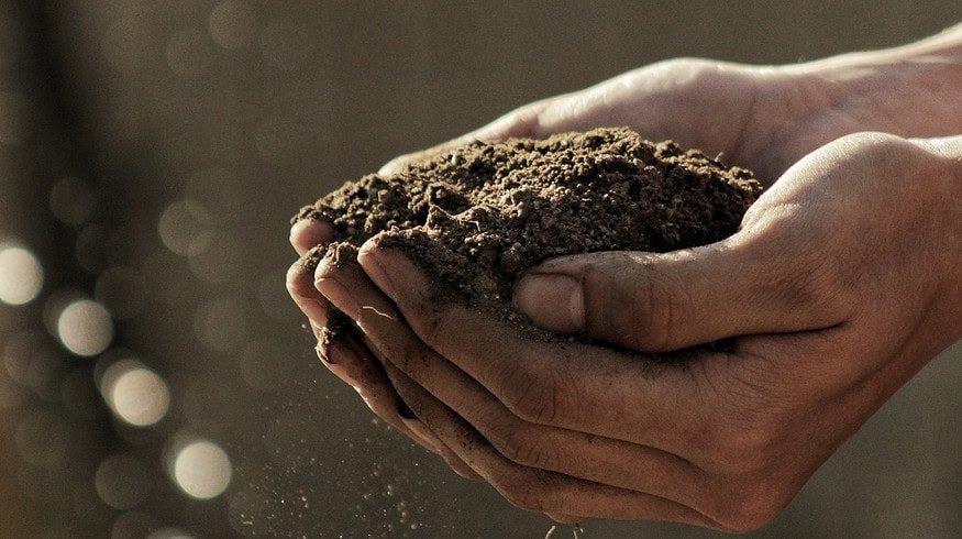 Compost: the secret to free topsoil for gardening