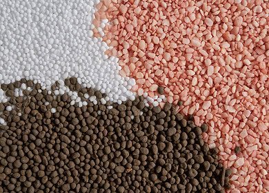 Russia to continue supply of agricultural aid to Africa – deputy PM