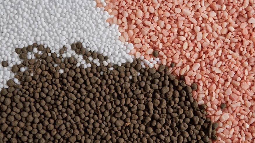 Russia to continue supply of agricultural aid to Africa – deputy PM