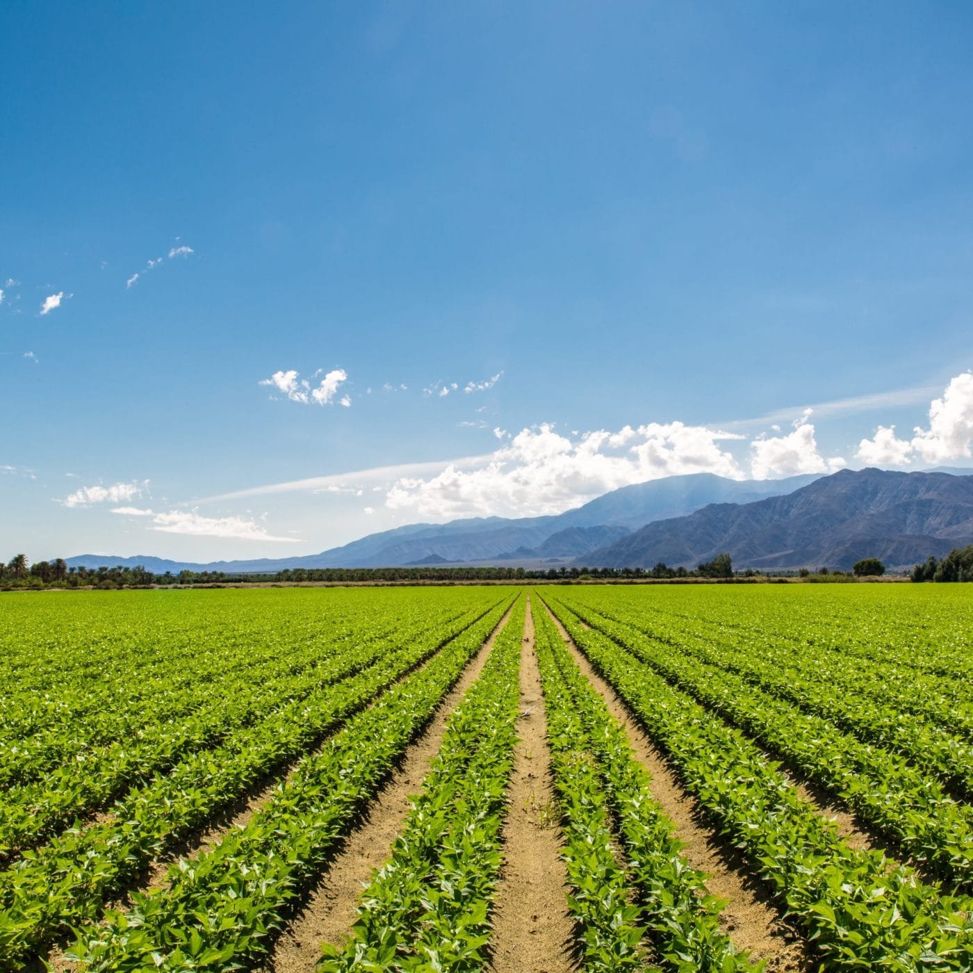 TFI opens nominations for 2024 4R Advocate program