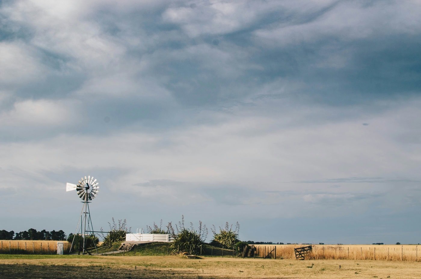Producers complain that Argentina’s market is hindered by bureaucracy