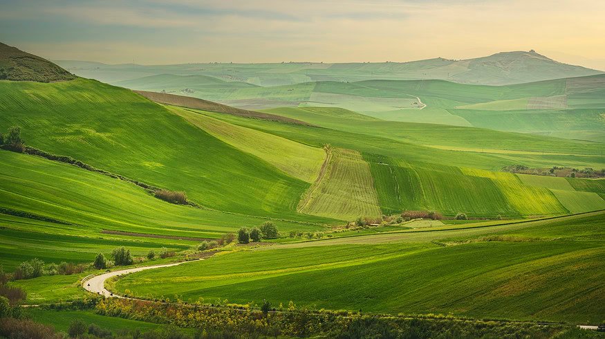 Puglia’s agricultural sector witnesses challenges and opportunities
