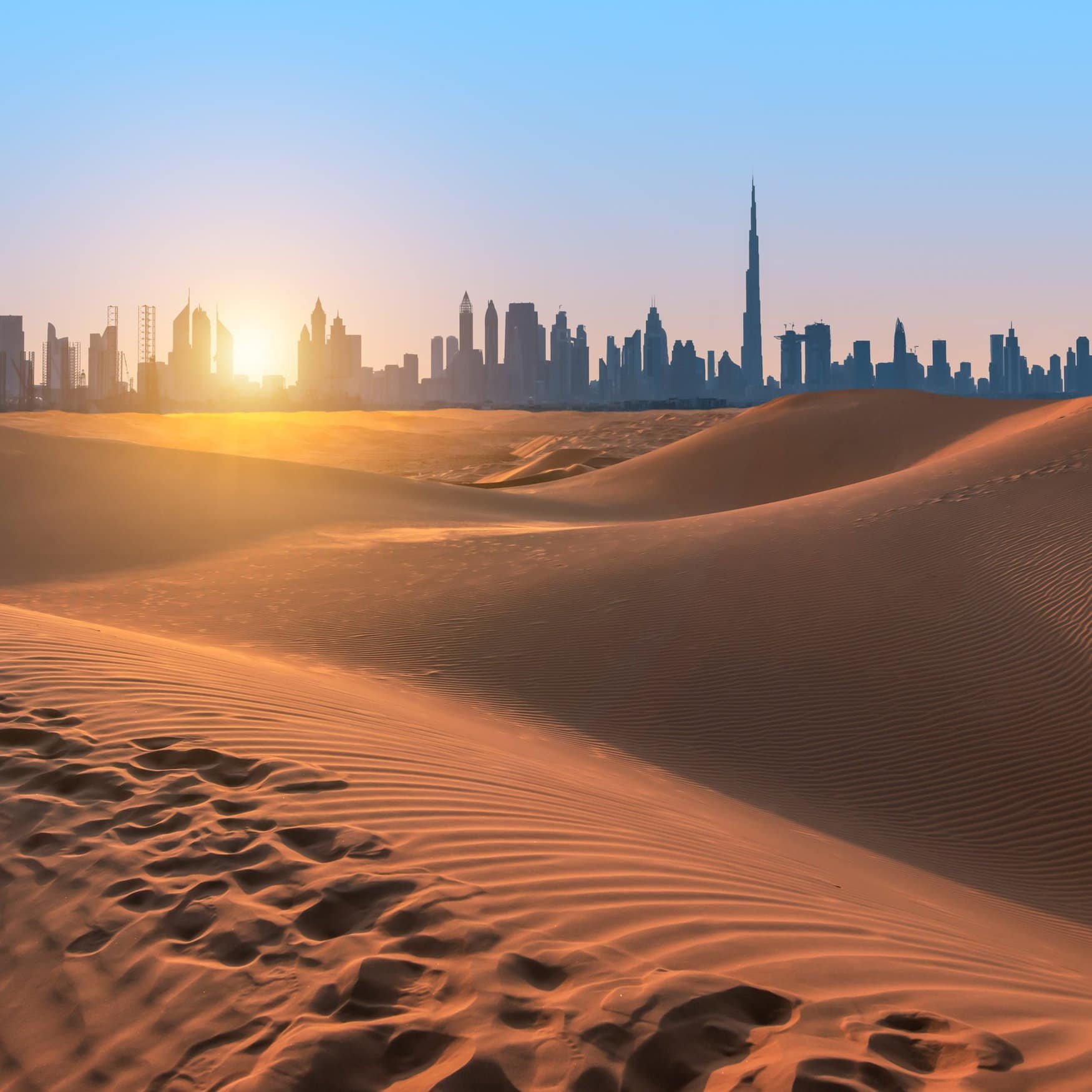 Bayer and Silal partnered to bolster UAE’s sustainable agriculture