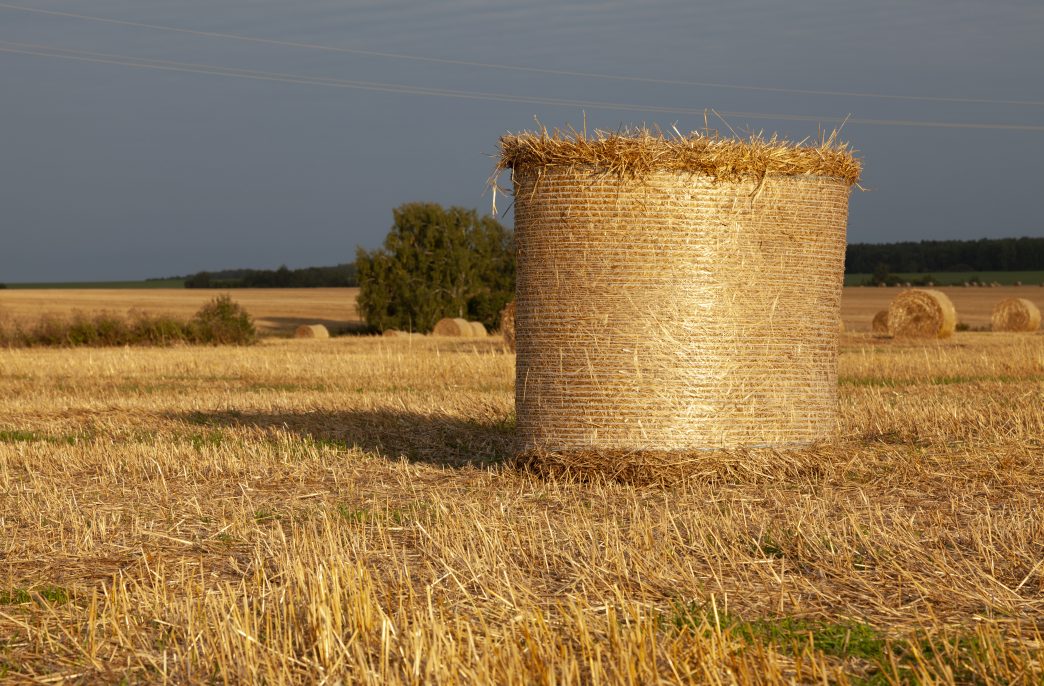 Sunlit cylindrical haystacks against a dark sky.
