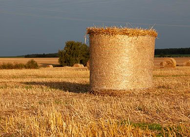 CNH invests in compostable net wrapping for bales