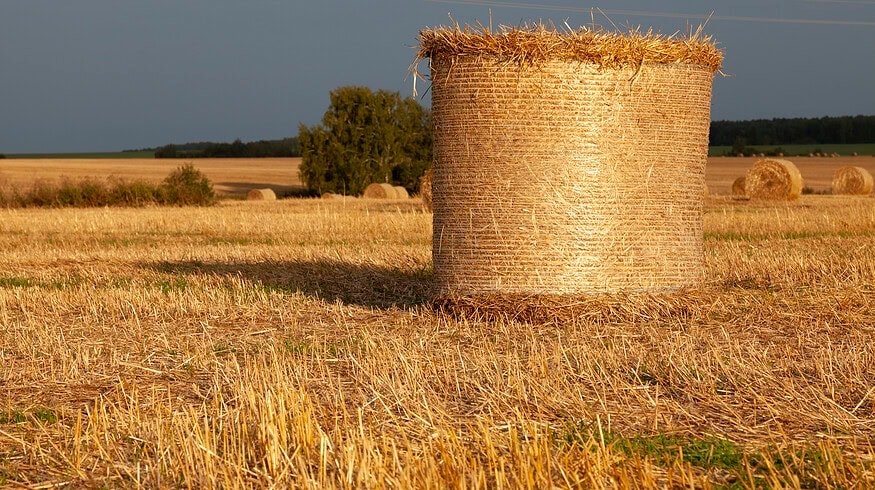 CNH invests in compostable net wrapping for bales