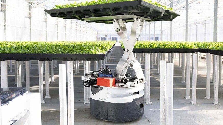 Hippo Harvest secures $21mn in Series B funding to expand its greenhouse technology