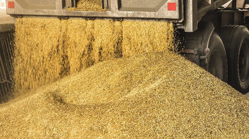 Poland could ban Russian agricultural imports – PM Tusk
