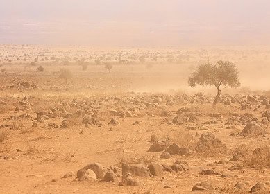 Africa requires climate finance mechanisms to tackle climate change issues