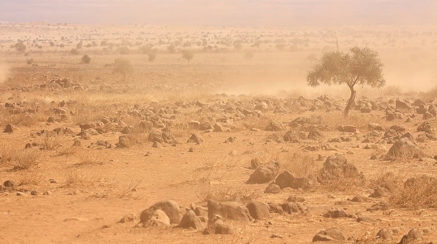 Africa requires climate finance mechanisms to tackle climate change issues