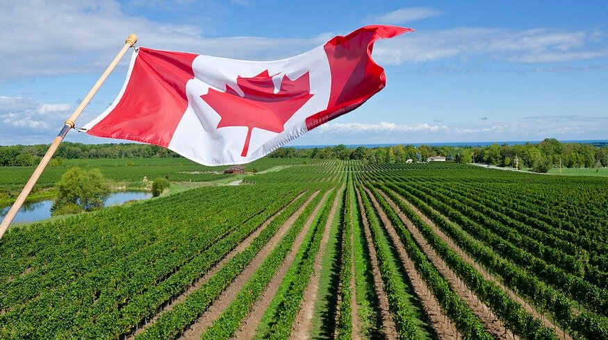Canada becomes founding member of Efficient Fertilizer Consortium