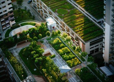 Food grown in urban settings has much larger carbon footprint – study
