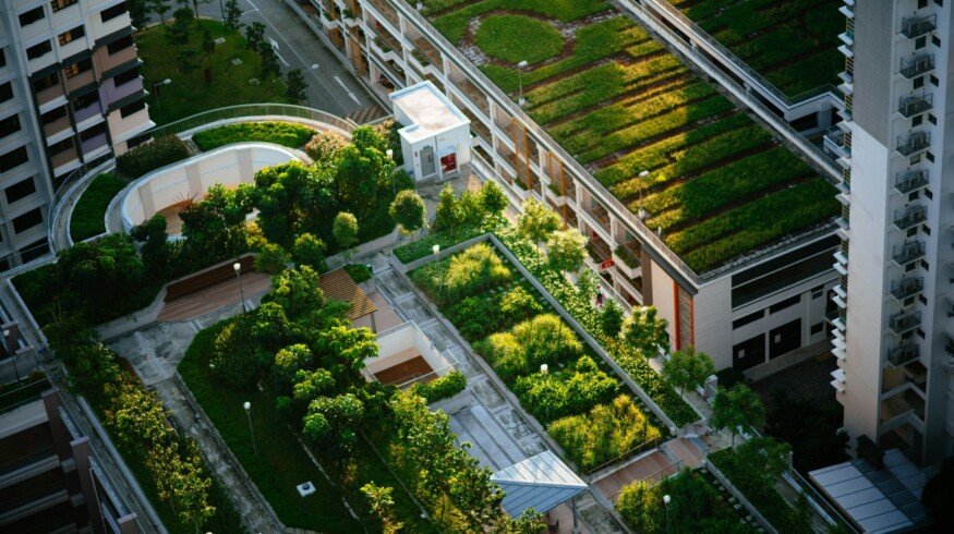 Food grown in urban settings has much larger carbon footprint – study
