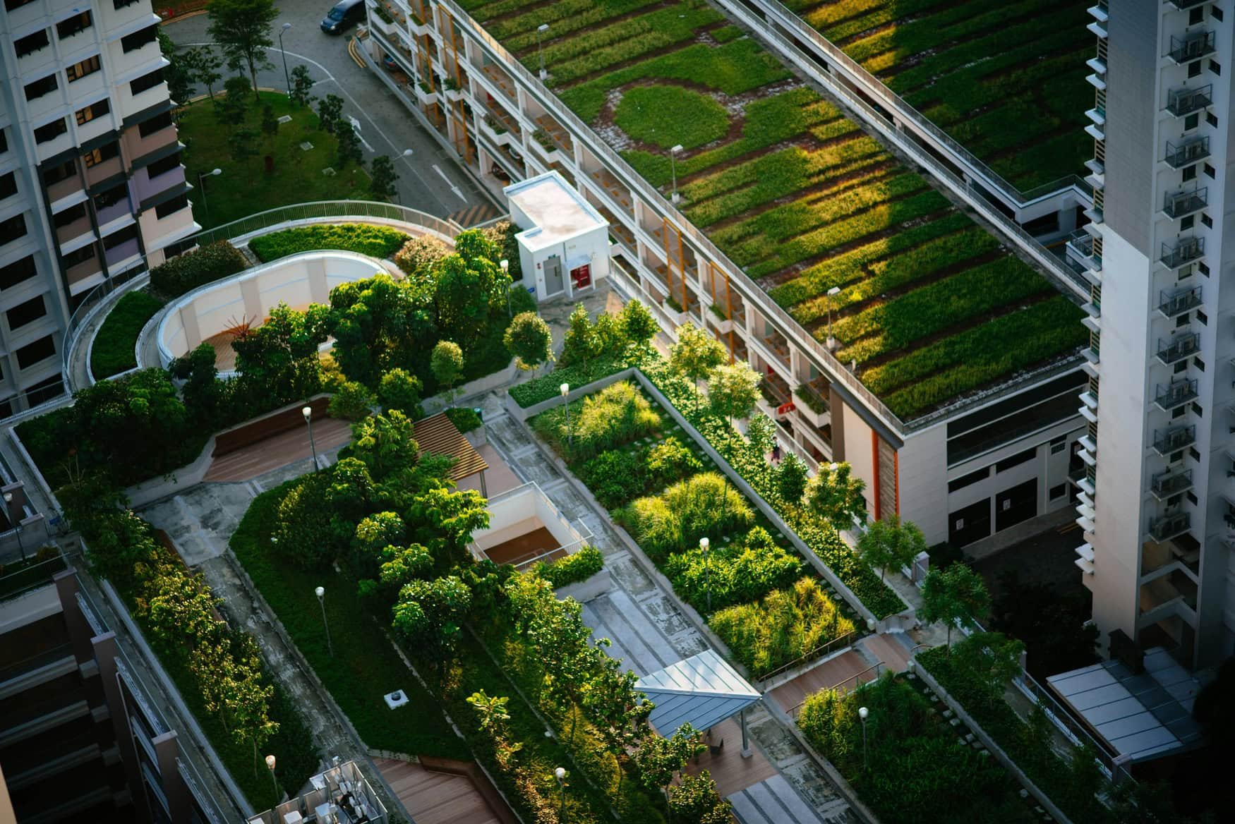 Food grown in urban settings has much larger carbon footprint – study