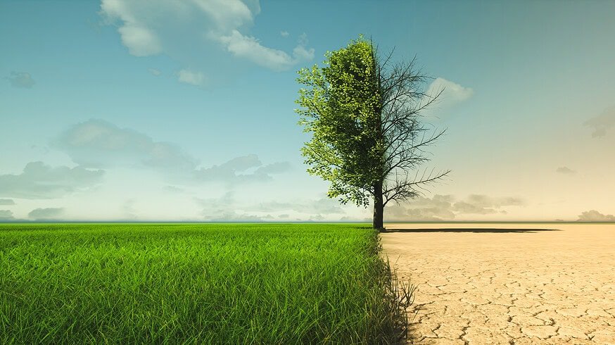 El Niño causes over $2mn of agricultural losses in the Philippines