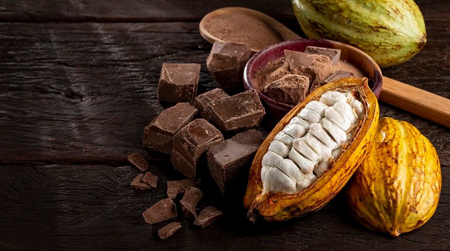 Unlocking the hidden potential of cacao beyond chocolate
