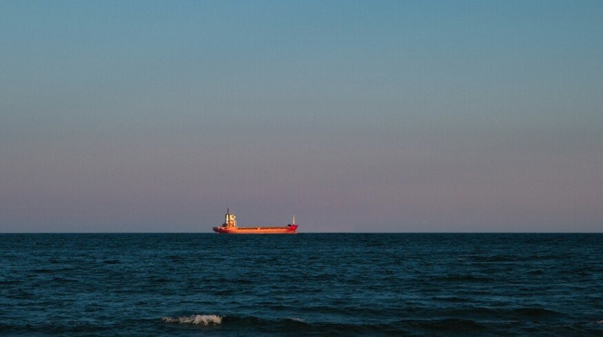 Seven ships carrying fertilizers rerouted due to Red Sea crisis – Indian minister