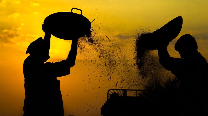 Indian farmers continue to push for guaranteed crop prices