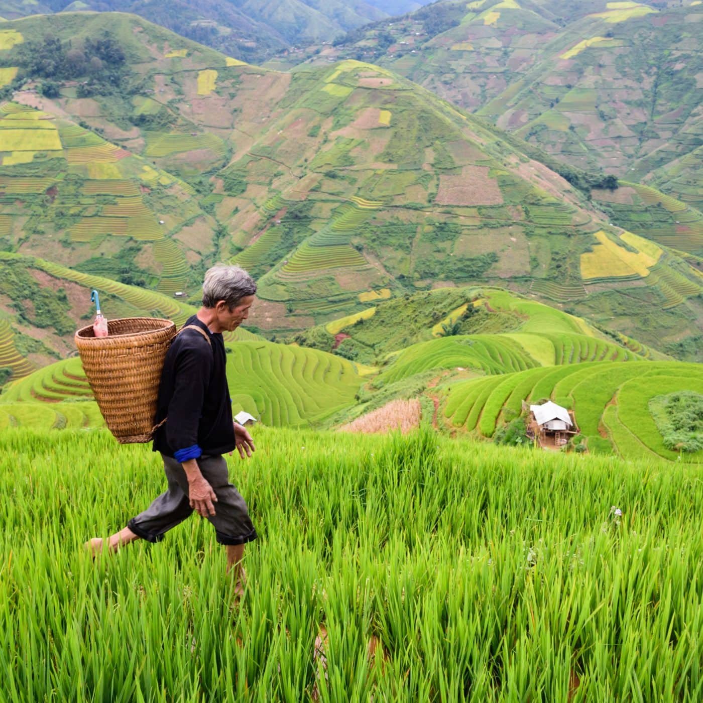 Indonesia to increase provision of subsidized fertilizer