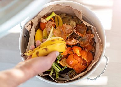 Royal Oak launches composting pilot program at Farmers Market