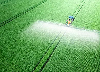 U.S. court bans three dicamba-based herbicides
