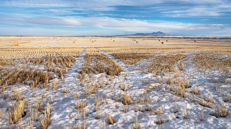 Wood Buffalo on alert as Alberta’s water crisis worsens