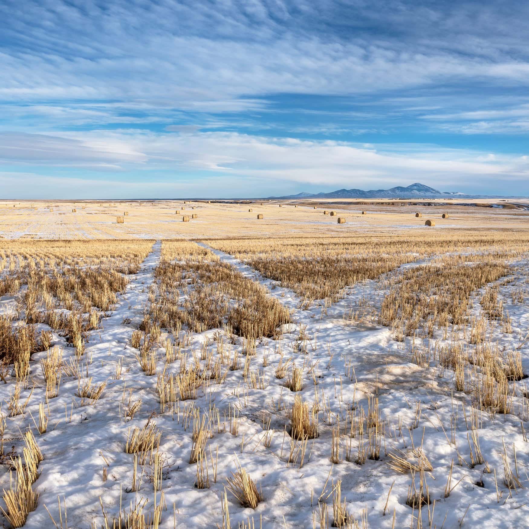 Wood Buffalo on alert as Alberta’s water crisis worsens