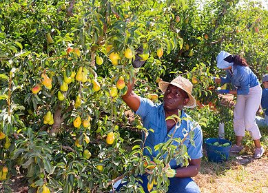 HOMEF engages Nigerian farmers in agro-ecological and bio-fertilizer training
