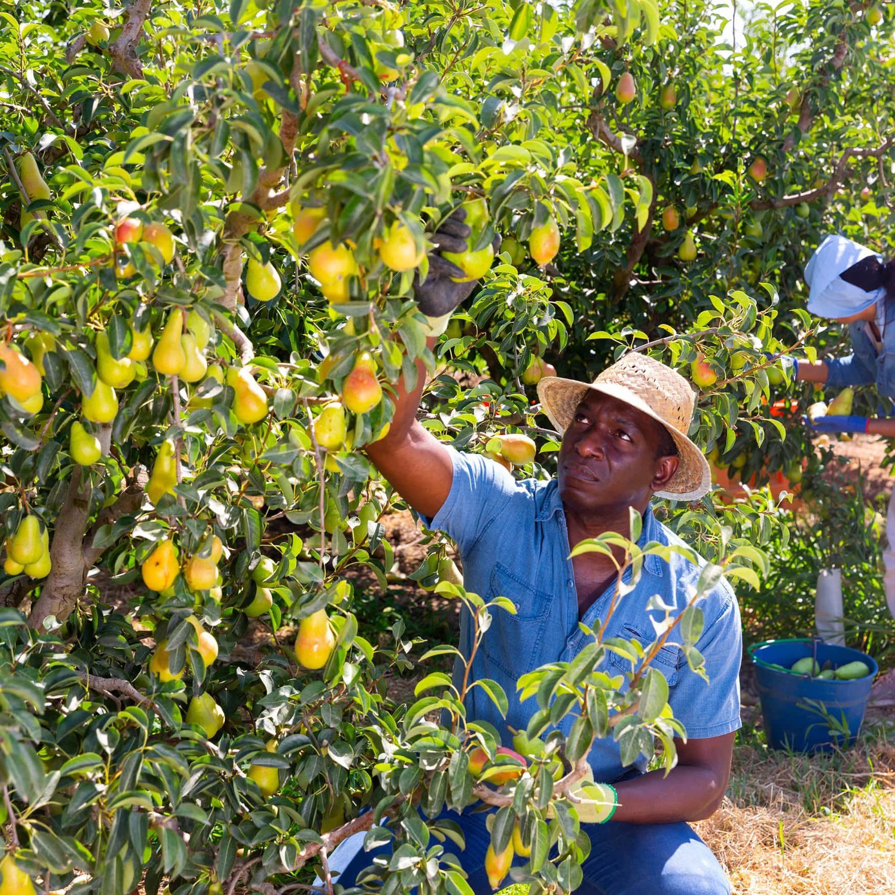 HOMEF engages Nigerian farmers in agro-ecological and bio-fertilizer training
