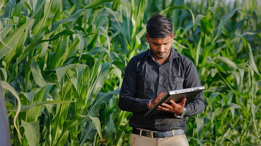 India to cut fertilizer subsidy by 13%