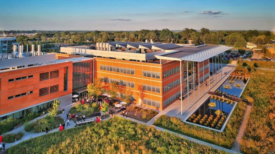 Danforth Center and Ethiopian Institute receive teff development grant