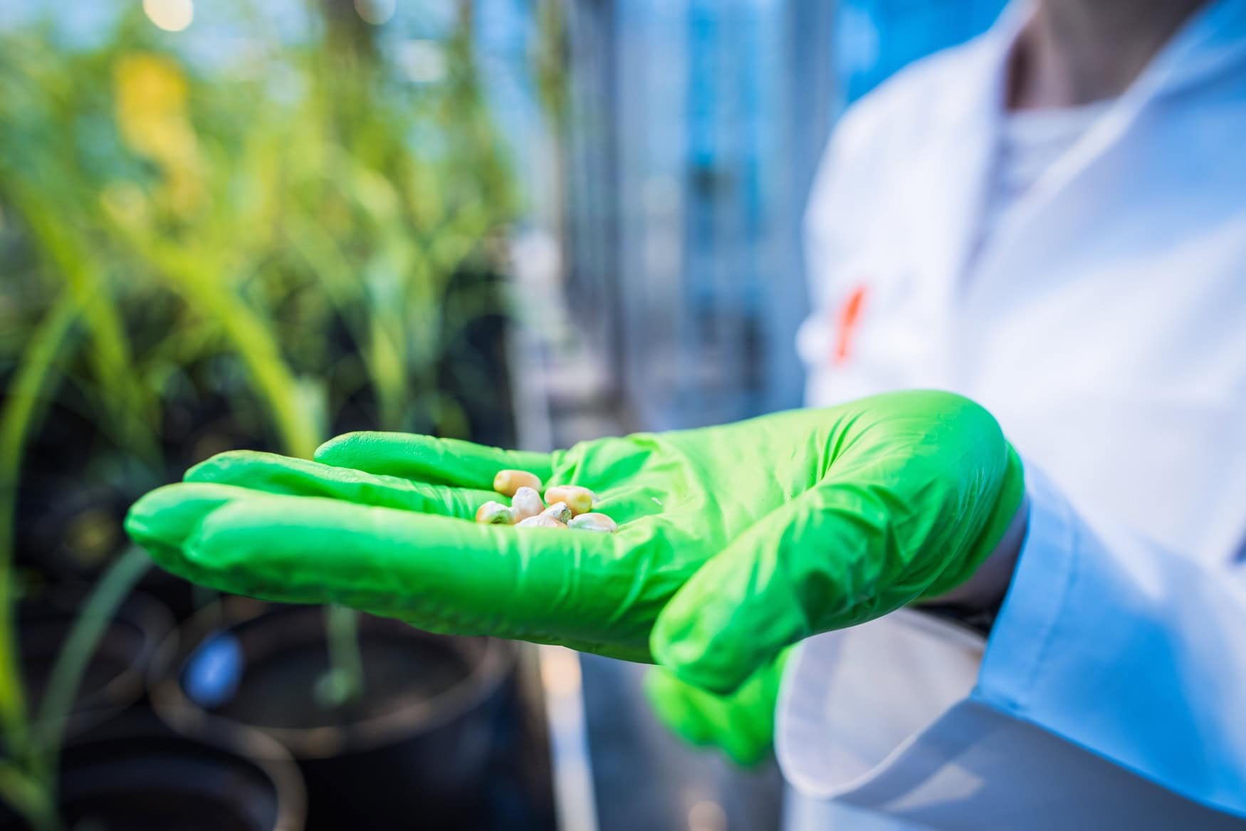 Exclusive: Inari’s Ron Wulfkuhle on super seeds and agricultural sustainability