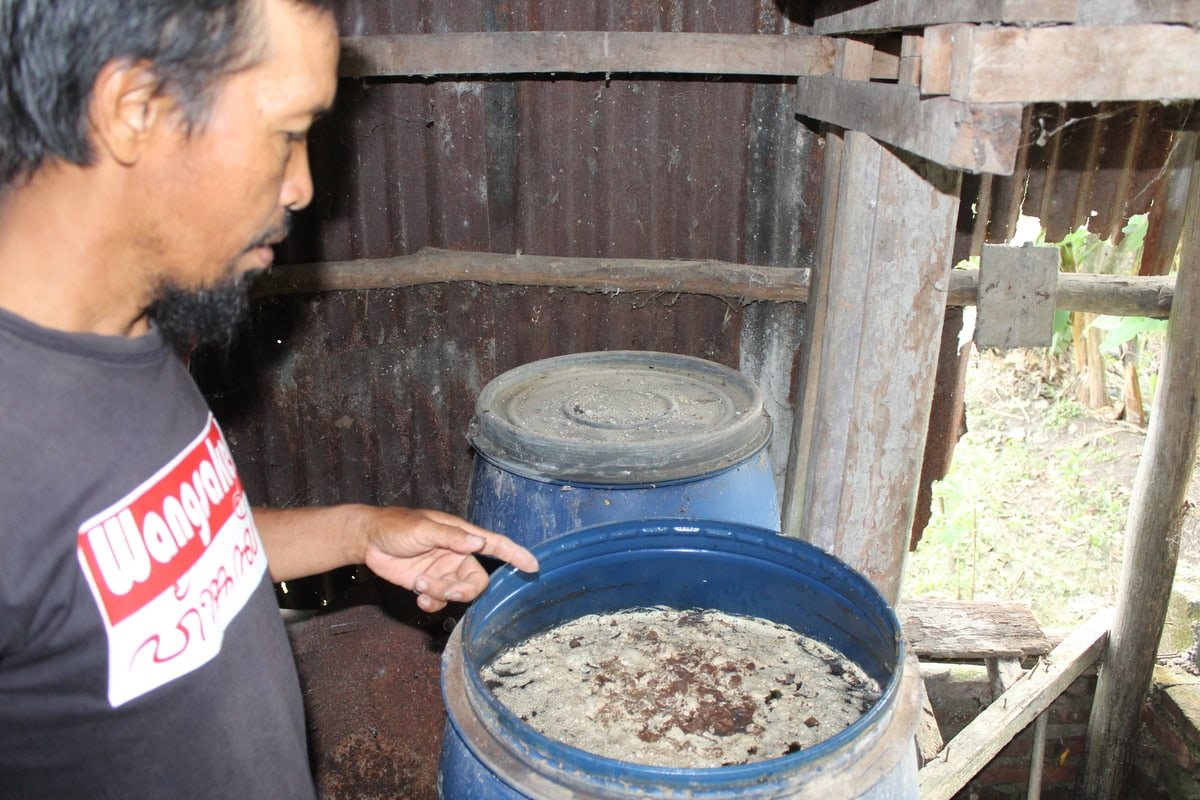 Cirebon farmers embrace organic solutions amid fertilizer challenges