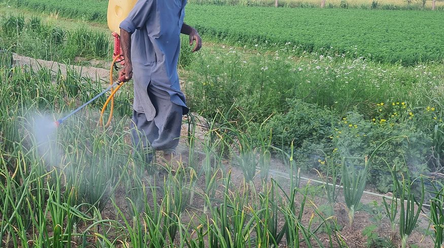 Pakistan’s fertilizer industry remains steady amid global volatility