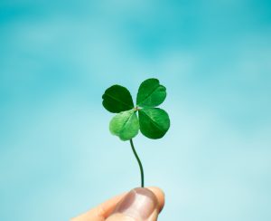 Four-Leaf Clover with blue sky background. Symbol of good luck.