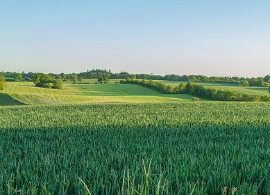 NitroVolt raises €750,000 for green ammonia tech