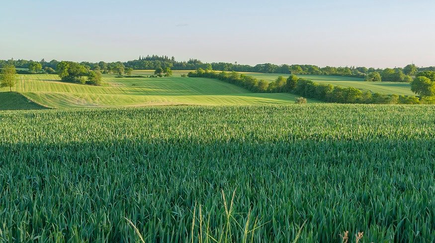 NitroVolt raises €750,000 for green ammonia tech