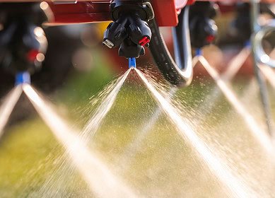 Reworking fertilizer management could slash ammonia pollution from key crops – study