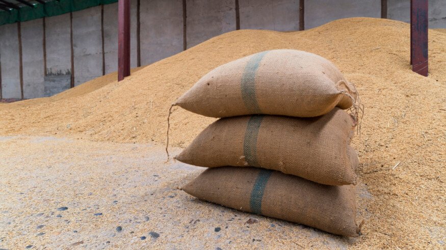 Indonesia faces record-high rice prices as El Niño intensifies