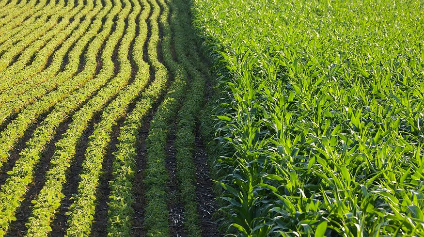 Cargill featured on Fortune’s list of America’s most innovative companies