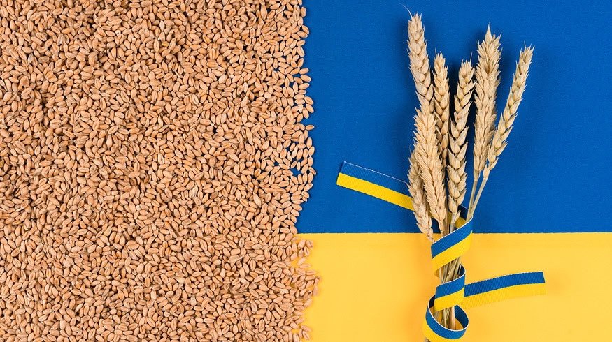 Ukraine expecting lower grain harvest this year