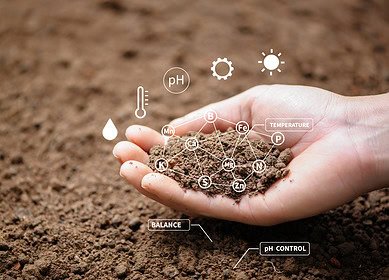 Water industry waste could be turned into nano-fertilizers